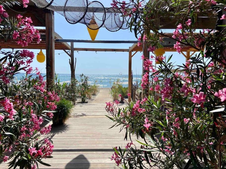 Les Voiles Blanches T2 Luxe A 100M De La Plage Leucate Kültér fotó