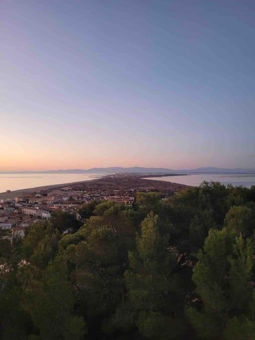 Les Voiles Blanches T2 Luxe A 100M De La Plage Leucate Kültér fotó