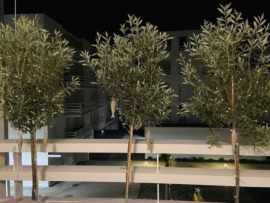 Les Voiles Blanches T2 Luxe A 100M De La Plage Leucate Kültér fotó