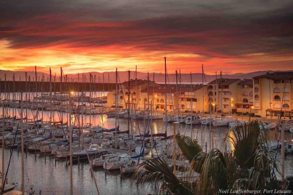 Les Voiles Blanches T2 Luxe A 100M De La Plage Leucate Kültér fotó